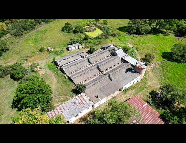 FARM FOR SALE IN ESTCOURT RURAL